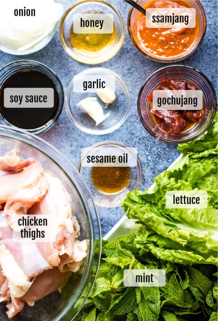Overhead shot of ingredients needed to make gochujang chicken.