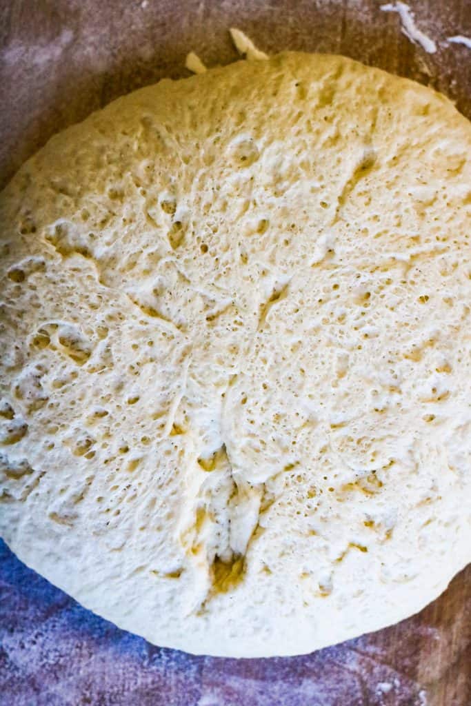 steam bun dough after first rise