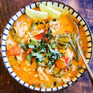 thai red curry chicken in a bowl shot from overhead