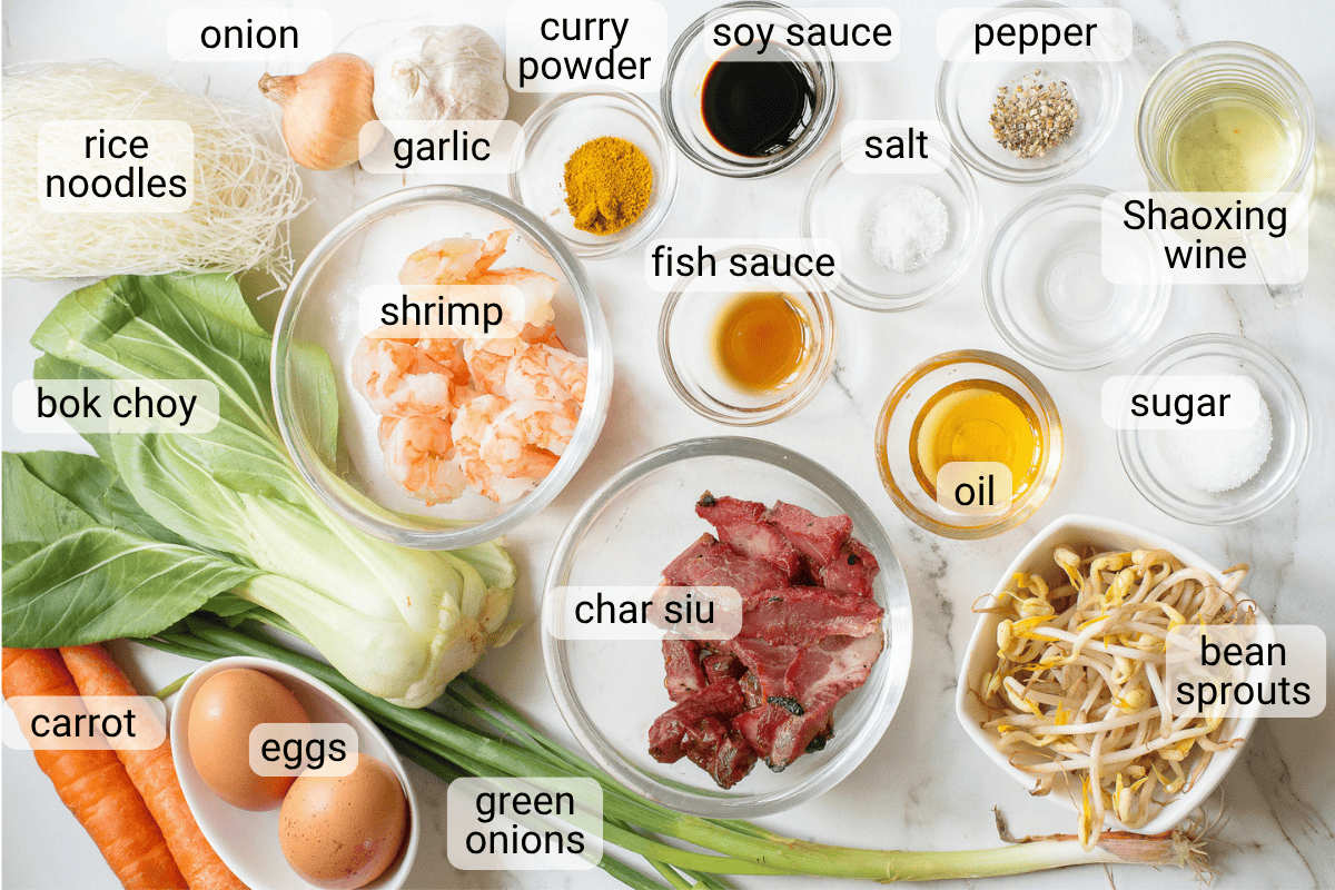 Assorted labeled ingredients for a noodle dish, including rice noodles, shrimp, char siu, bok choy, garlic, soy sauce, curry powder—essential for making flavorful Singapore rice noodles—along with fish sauce, Shaoxing wine, eggs, and vegetables.