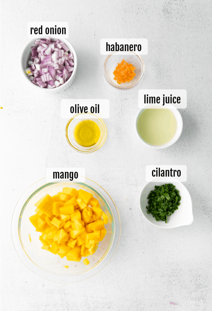 Overhead shot of ingredients needed to make mango habanero salsa