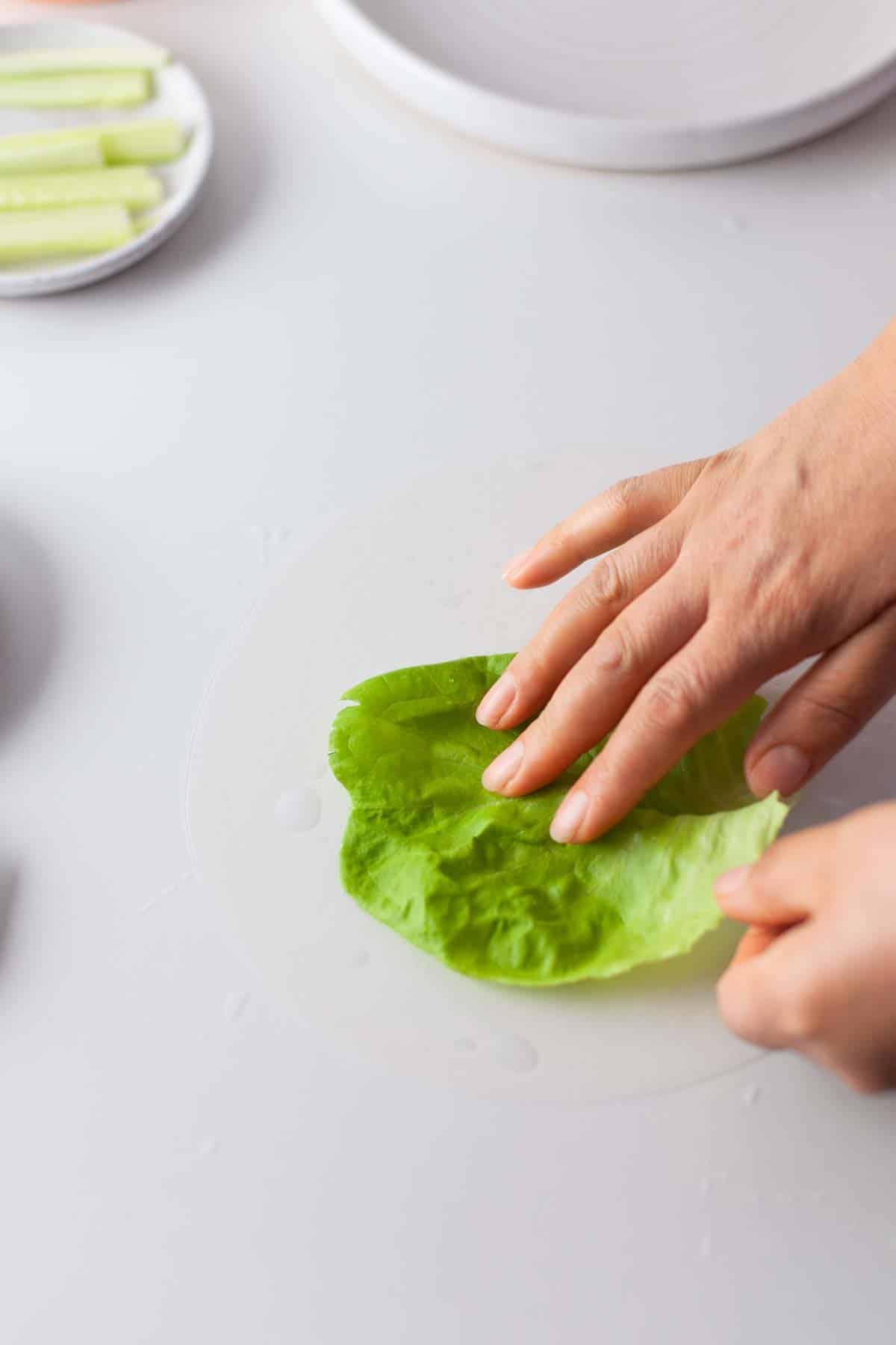 layering lettuce on a rice paper sheet.