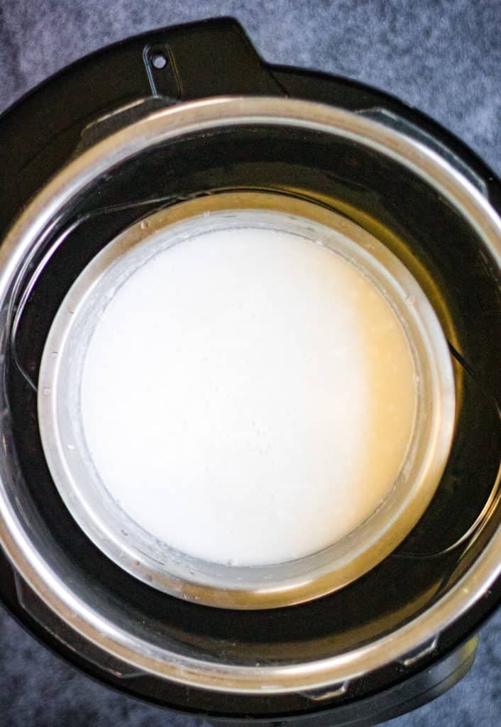 A close-up of a bowl with a white coconut liquid in it.