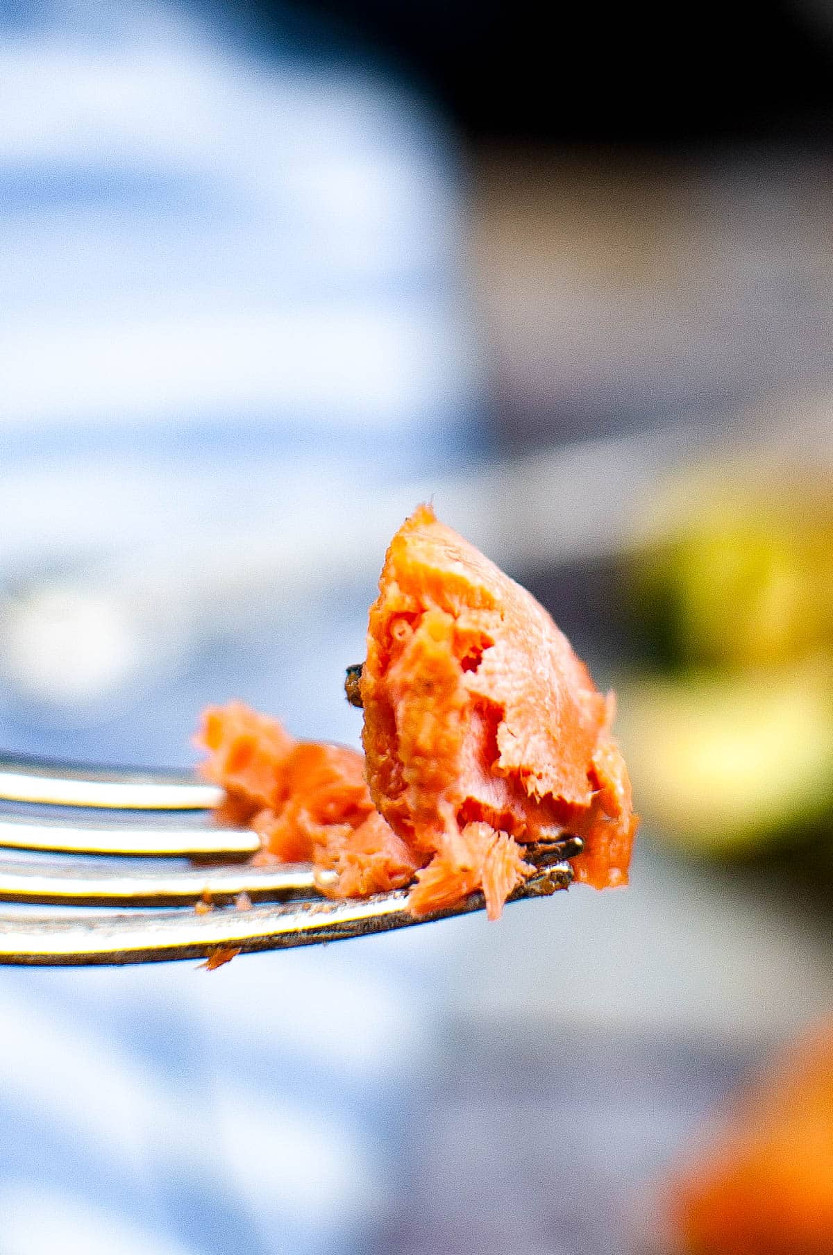 Shot of a bite of salmon on a fork.