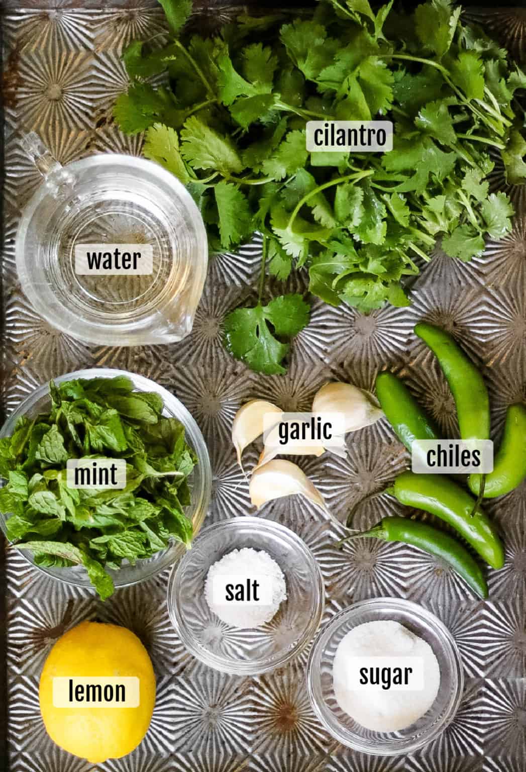 Cilantro Mint Chutney All Ways Delicious