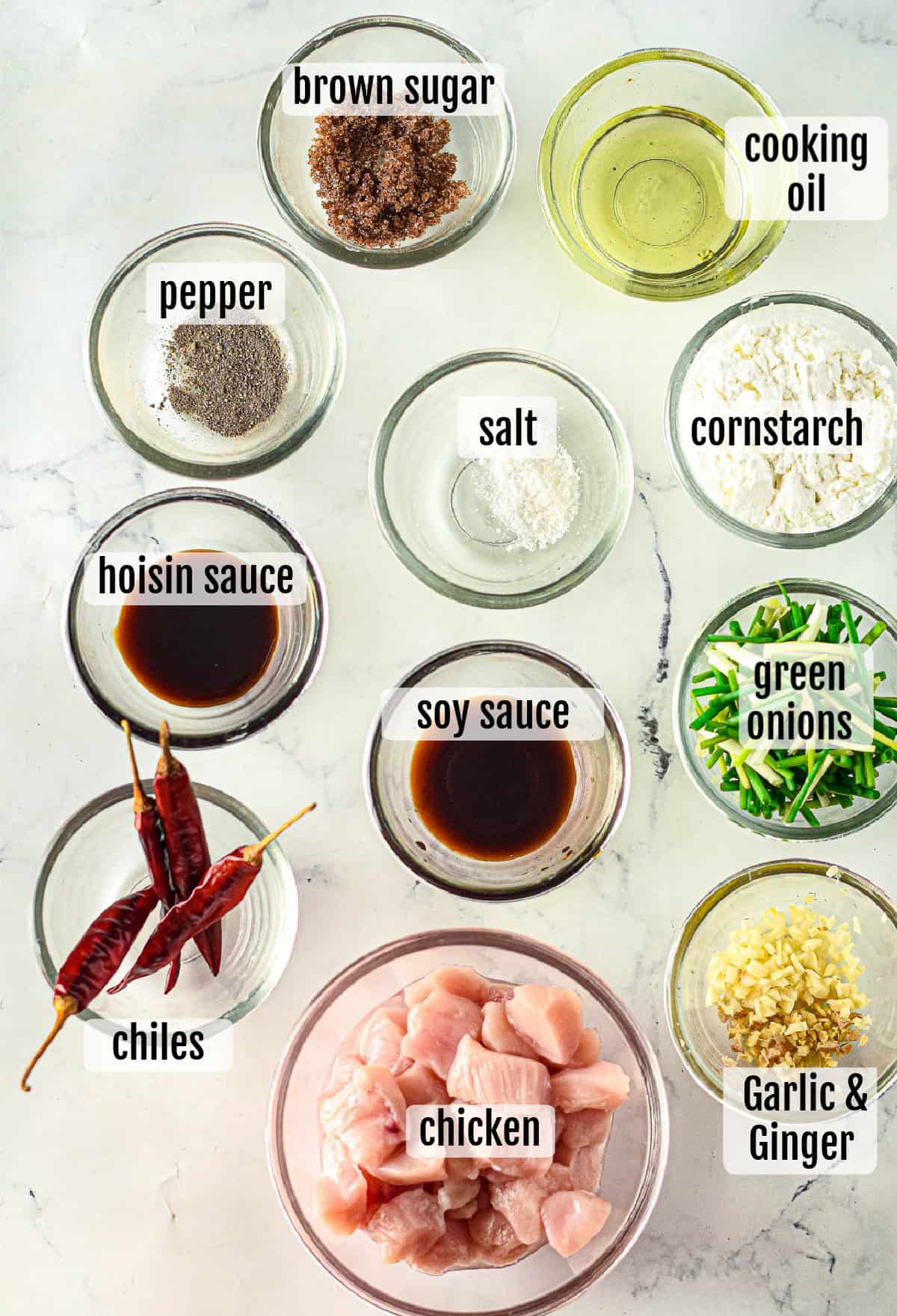 Overhead shot of the ingredients needed to make the dish.