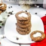 A stack of air fryer fried pickle slices on a white plate. The image also shows hot cocoa cookies with marshmallows. Background features additional cookies, marshmallows, and chocolate chips.