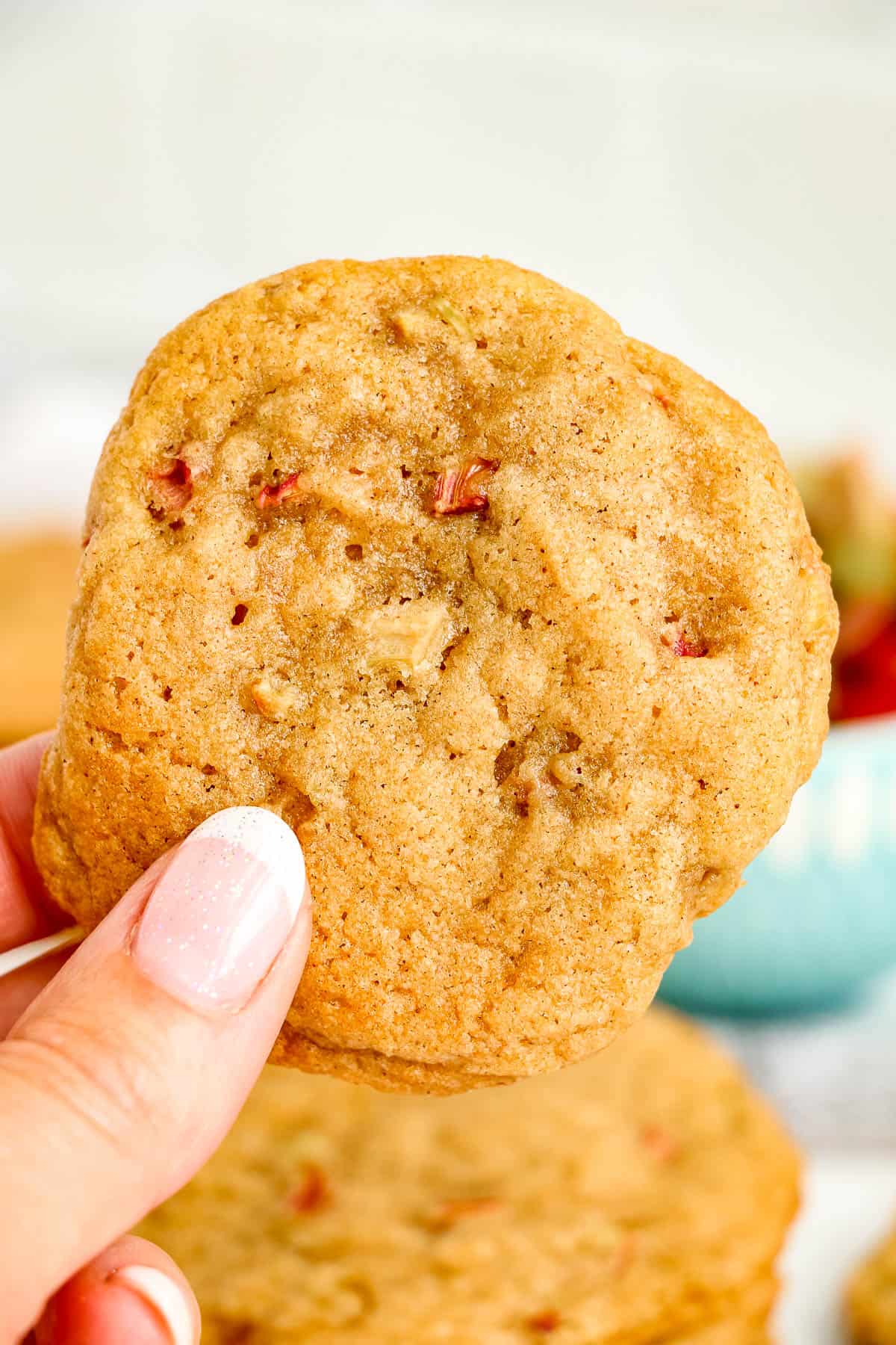 hand holding up a rhubarb cookie.
