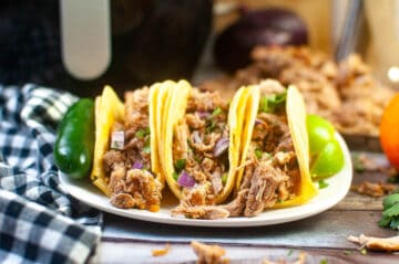 air fryer carnitas on a plate.