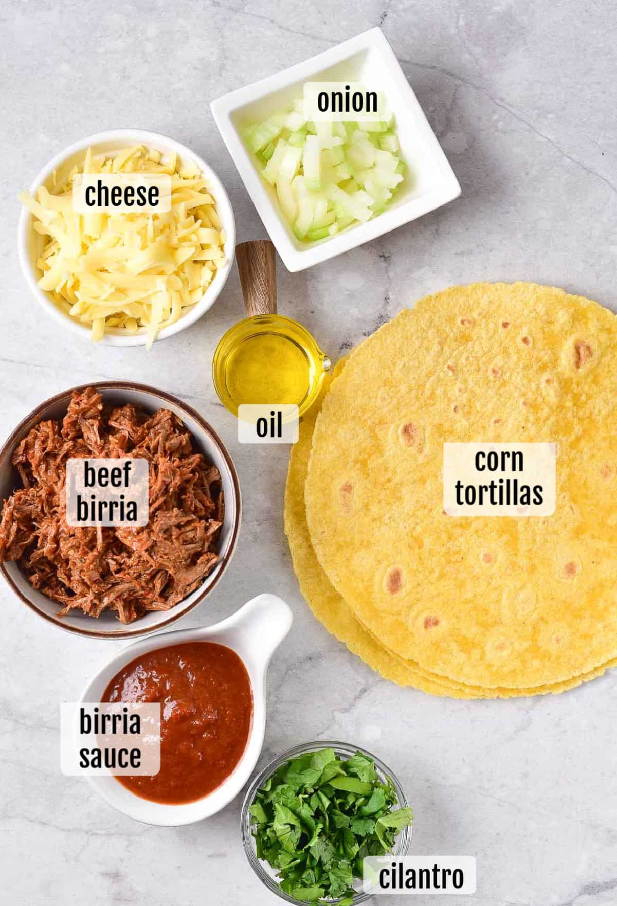 Overhead shot of the ingredients needed to make quesabirria tacos.