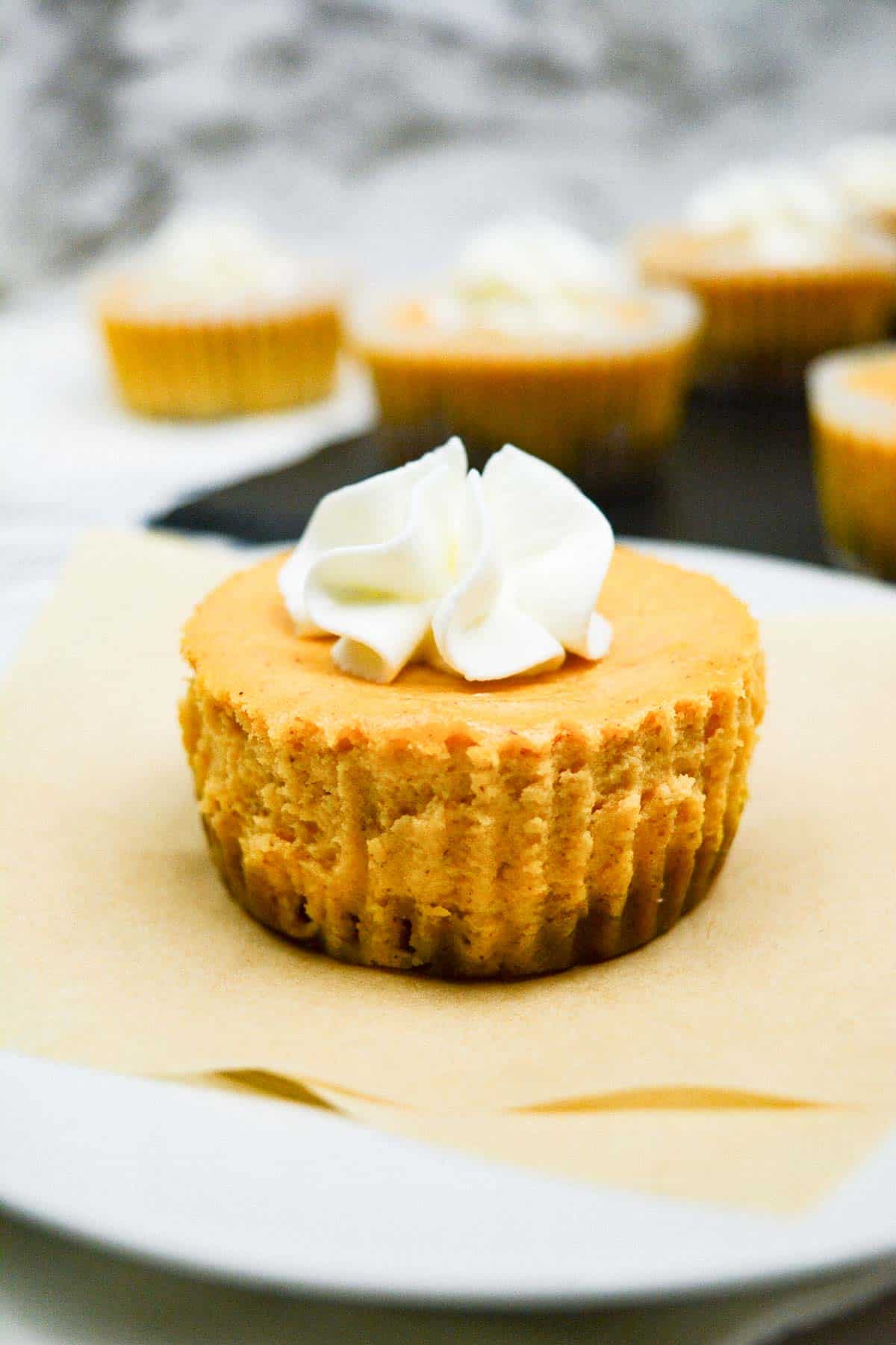 Pumpkin cheesecake on a plate with whipped cream.