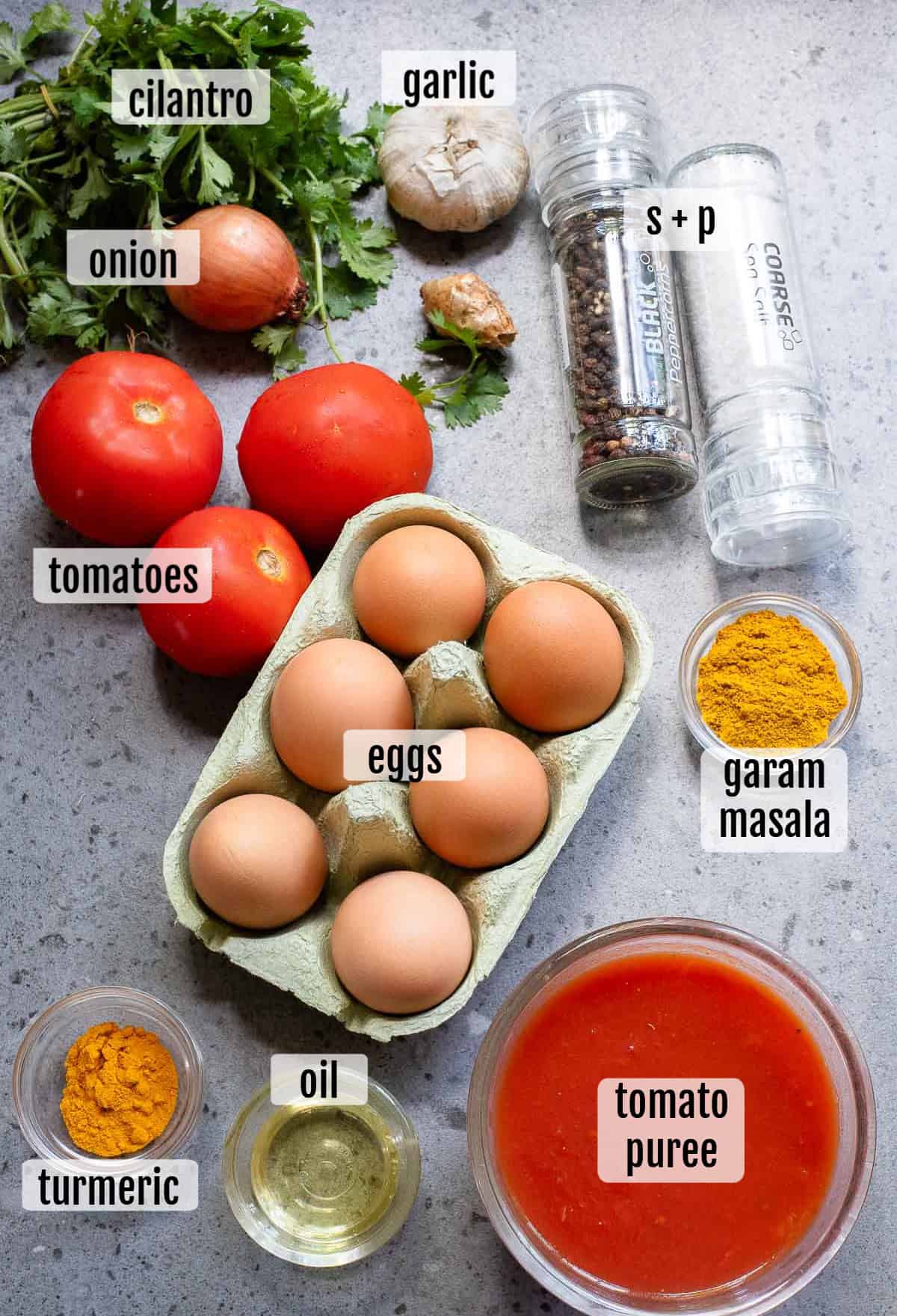 Assorted ingredients for egg curry including tomatoes, eggs, onion, cilantro, garlic, salt, pepper, turmeric, garam masala, oil, and tomato puree arranged on a gray surface.