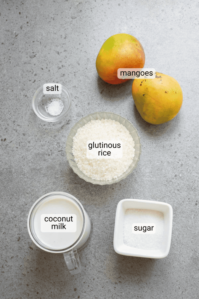 Sticky Rice with Mango