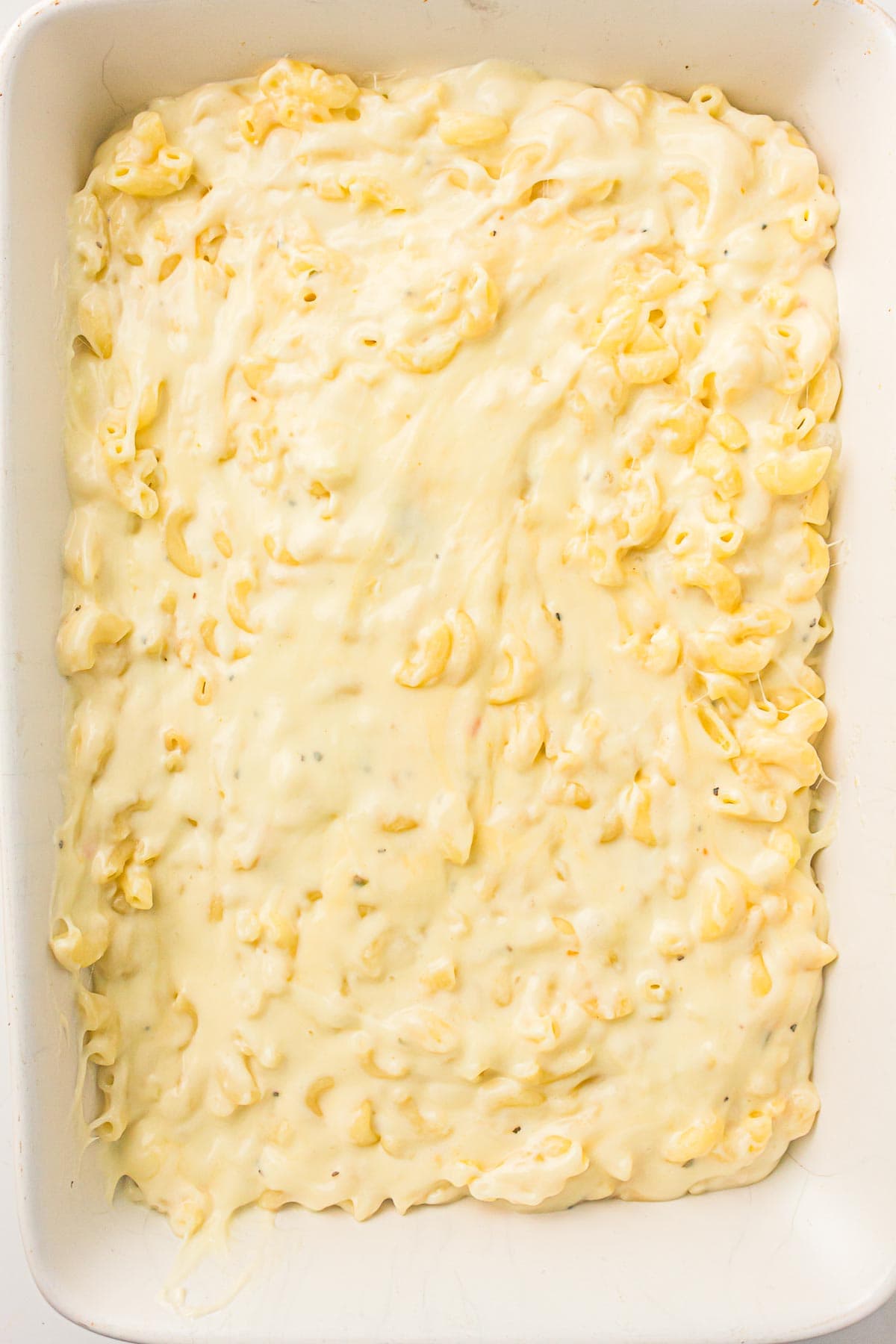 A baking dish filled with uncooked macaroni mixed with creamy cheese sauce, ready to be baked.