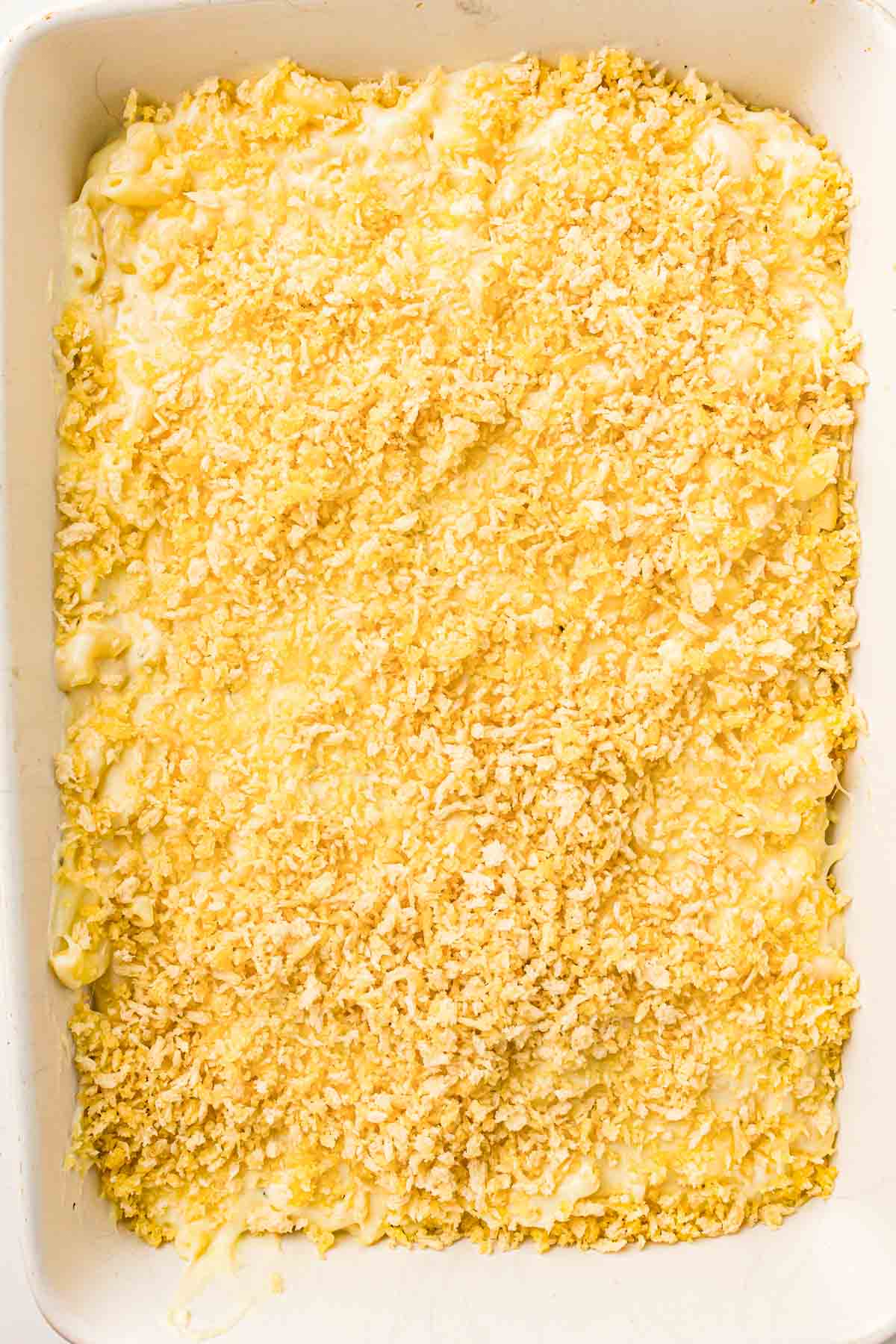 A baking dish filled with macaroni and cheese topped with a layer of breadcrumbs, ready to be baked.