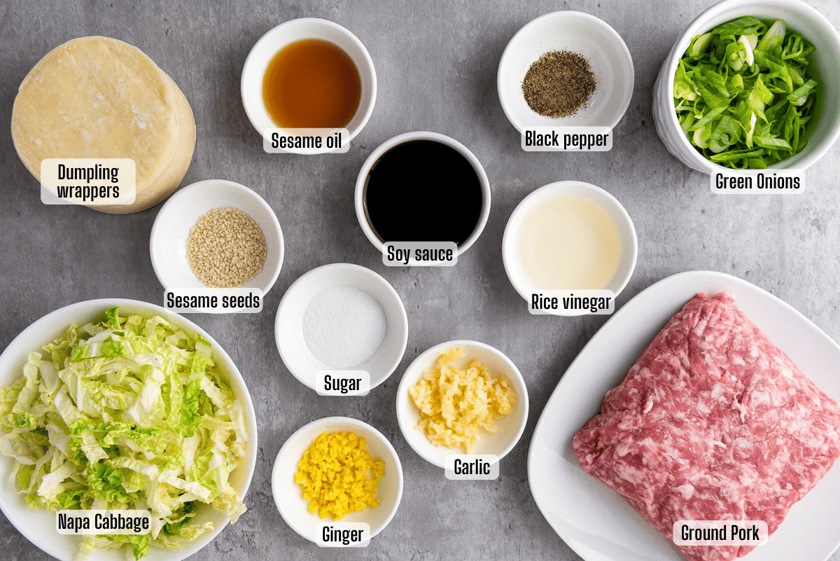 Ingredients for making dumplings arranged on a gray surface, including ground pork, napa cabbage, dumpling wrappers, seasonings, and chopped vegetables, each labeled with its name.